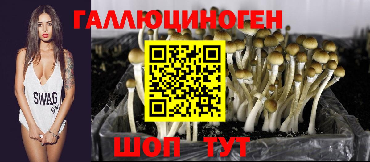 Галлюциногенные грибы ЛСД Красногорск
